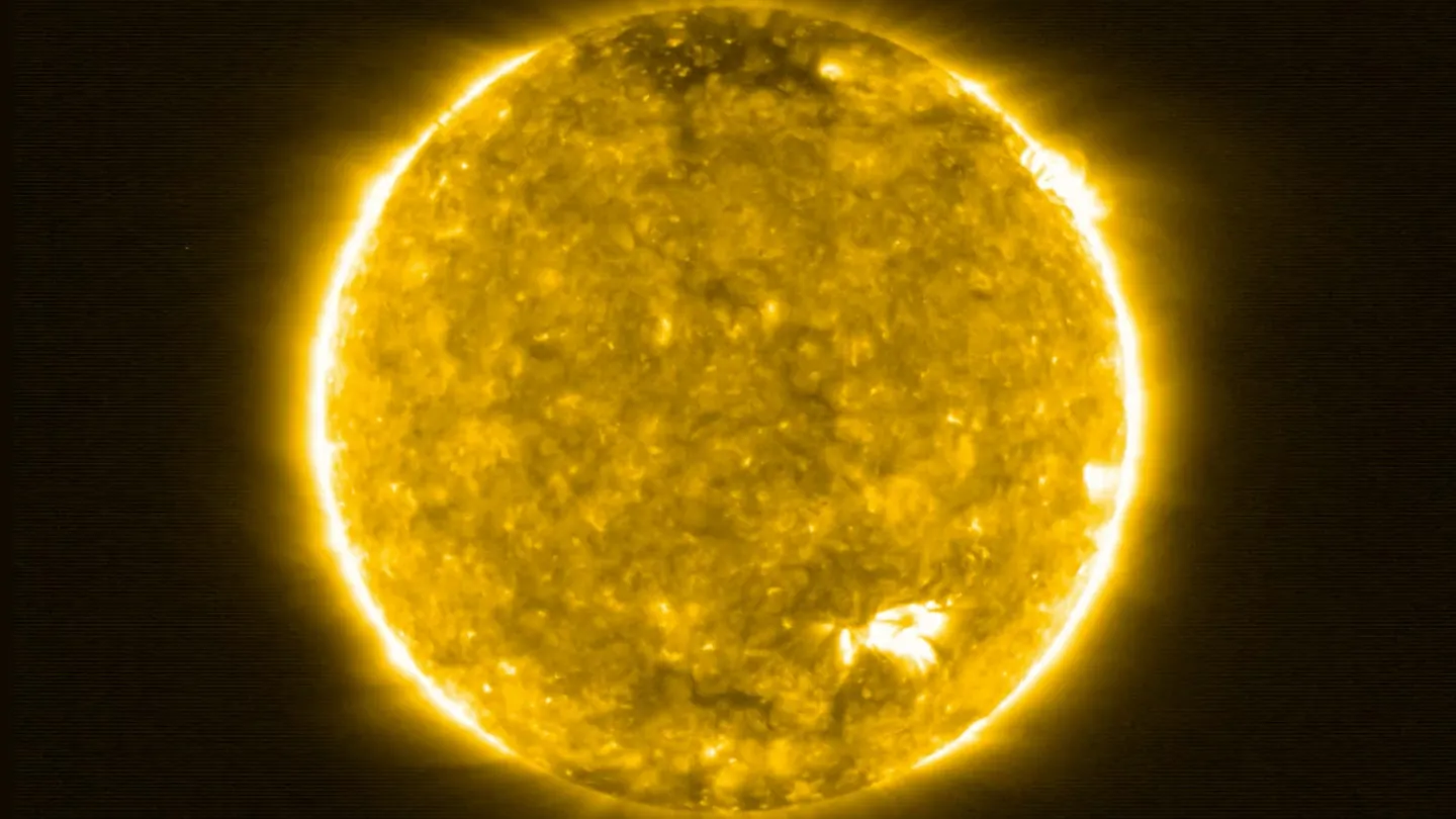 An image of the Sun and its flares